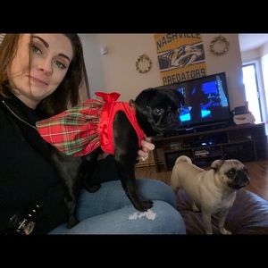 Meet your Posher, Garland